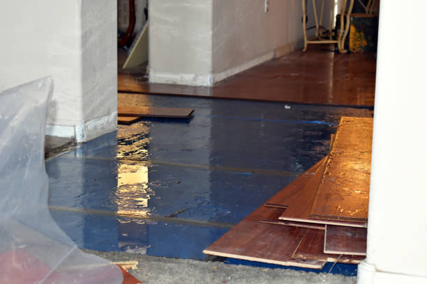 Professional Flood Cleanup technician working in Three Bridges, NJ